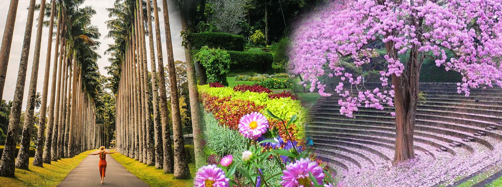 Peradeniya Botanical Garden