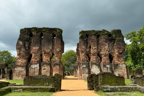 Archaeology Experience