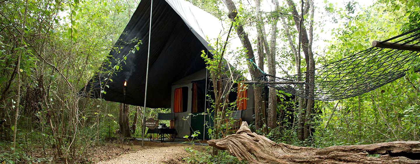 Safari Camping